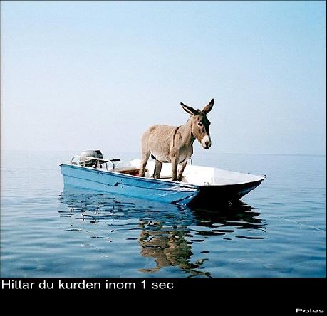 kurden