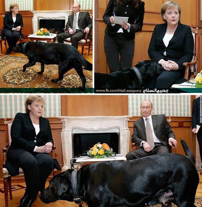 putin och merkel